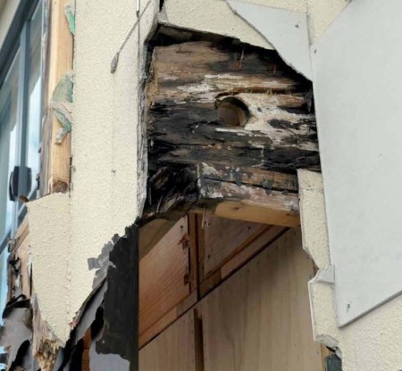 Weather Tightness - Building Inspections Auckland